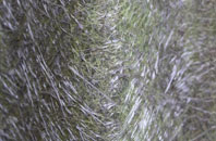 Invermoriston fibreglass roof work